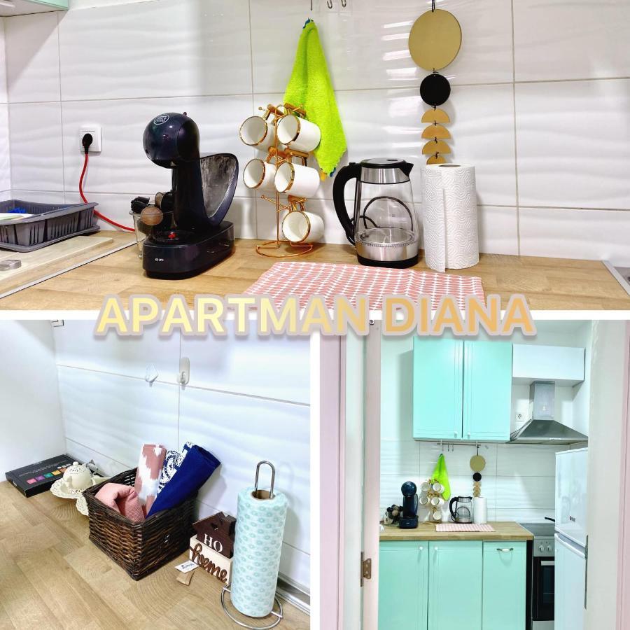 Apartman Diana Sremska Mitrovica Bagian luar foto